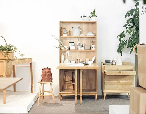 没想到抖音10w赞的变形家具，装进我家后居然这么好用！